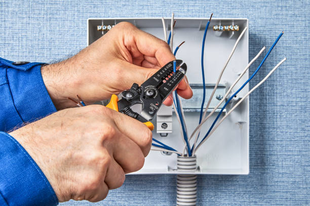 Best Electrical Panel Upgrades  in West Deland, FL